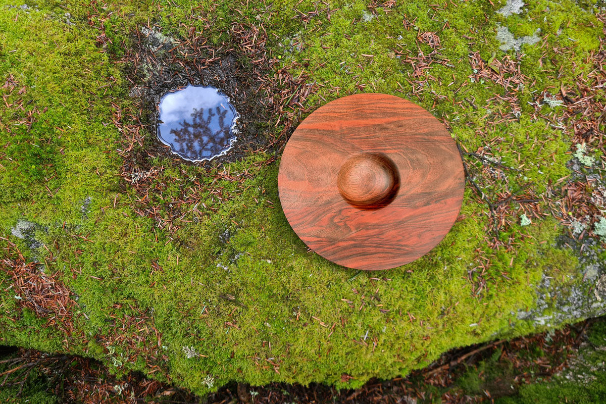 Cupule vue du dessus en for&ecirc;t, pos&eacute;e sur un rocher.