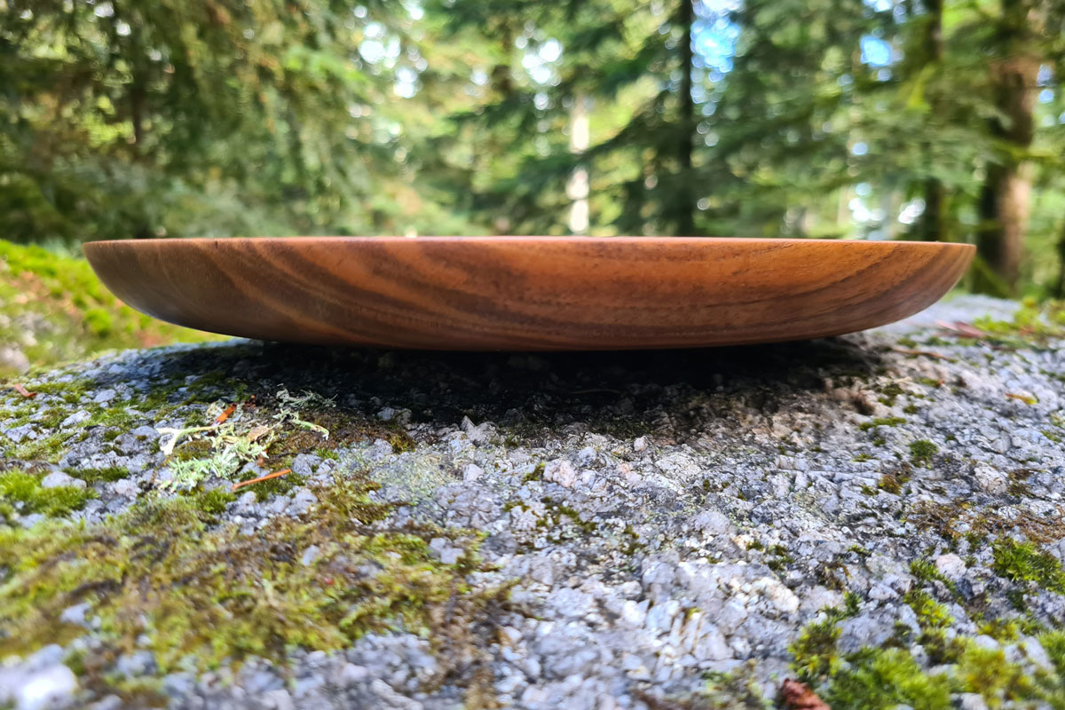 Cupule vue de profil en for&ecirc;t, pos&eacute;e sur un rocher.